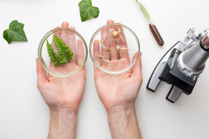 close-up-hands-holding-glassware_