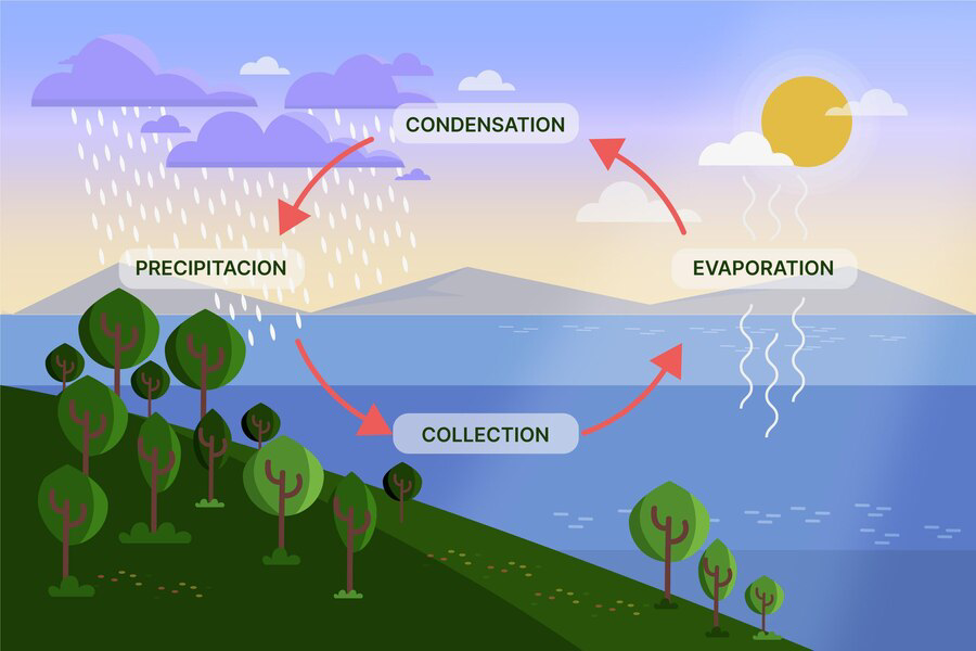 flat-design-nature-water-cycle-illustrated_23-2149128841