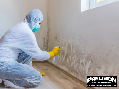 DIY Mold Remediation